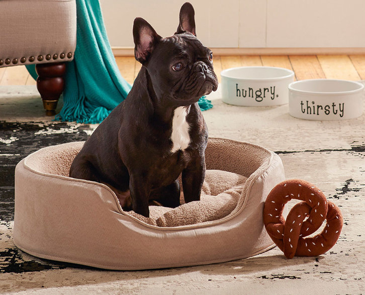 Dog Beds You'll Love Wayfair